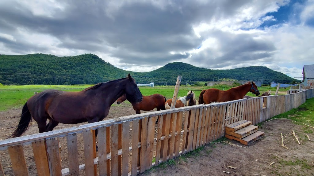 Ferme Marie-Noëlle Beaulieu | 674 Chemin St Laurent, Baie-Saint-Paul, QC G3Z 2L7, Canada | Phone: (418) 435-8931