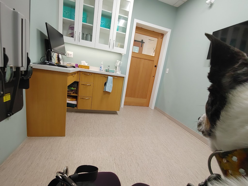 Riverwood Veterinary Clinic | 855 Village Dr #130, Port Coquitlam, BC V3B 0L4, Canada | Phone: (604) 945-4949