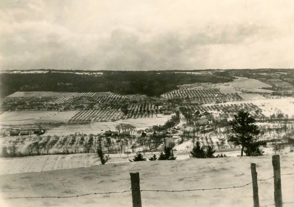 LJKR Balsam Fir Christmas Tree Farm | 372 Schofield Rd, Wolfville, NS B4P 2R2, Canada | Phone: (902) 542-5182