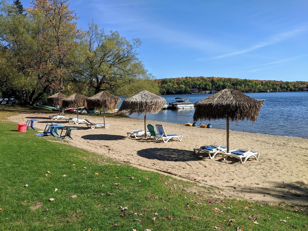 Red Eagle Family Campground | 289 Wollaston Lake Rd, Coe Hill, ON K0L 1P0, Canada | Phone: (613) 337-5587