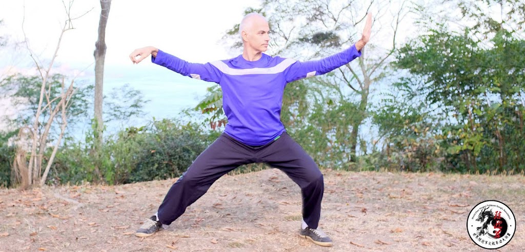 Chen Yingjun Tai Chi Ottawa | 2203 Alta Vista Dr, Ottawa, ON K1H 7L9, Canada | Phone: (613) 501-4016