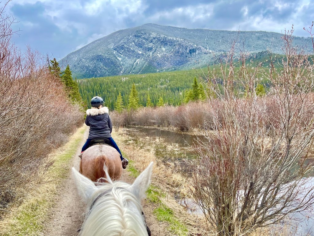 Banff Trail Riders - Stables | 100 Sundance Rd, Banff, AB T1L 1B9, Canada | Phone: (403) 762-4551