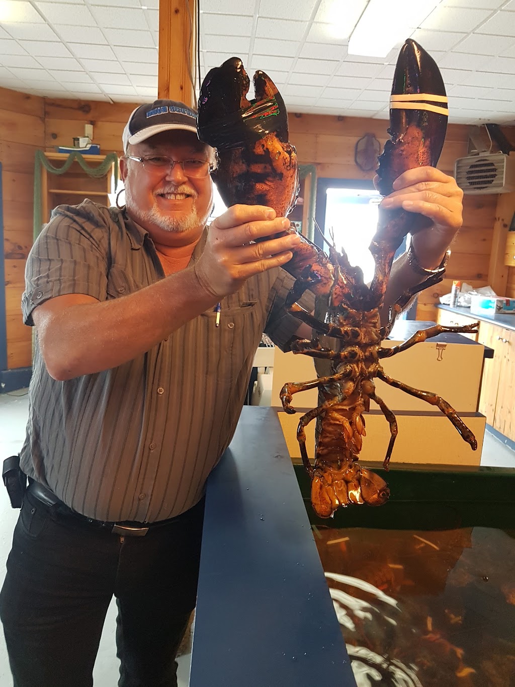 The Lobster Dive Inc | 105 Government Wharf Rd, Eastern Passage, NS B3G 1M5, Canada | Phone: (902) 463-6066