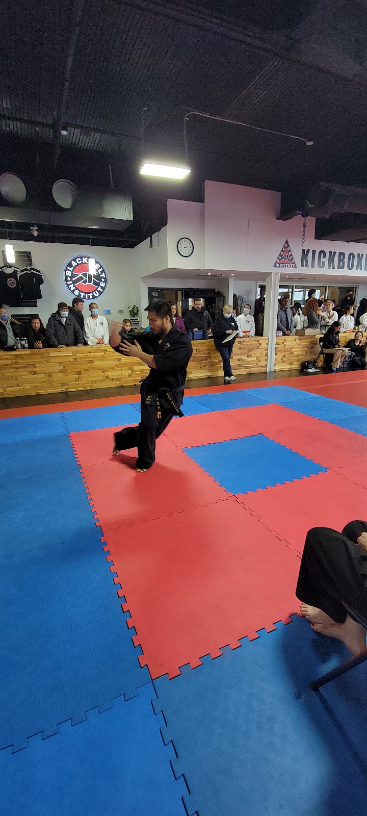 Black Belt Institute | 75 Carl Hall Rd #1001A, Toronto, ON M3K 2B9, Canada | Phone: (647) 952-1495