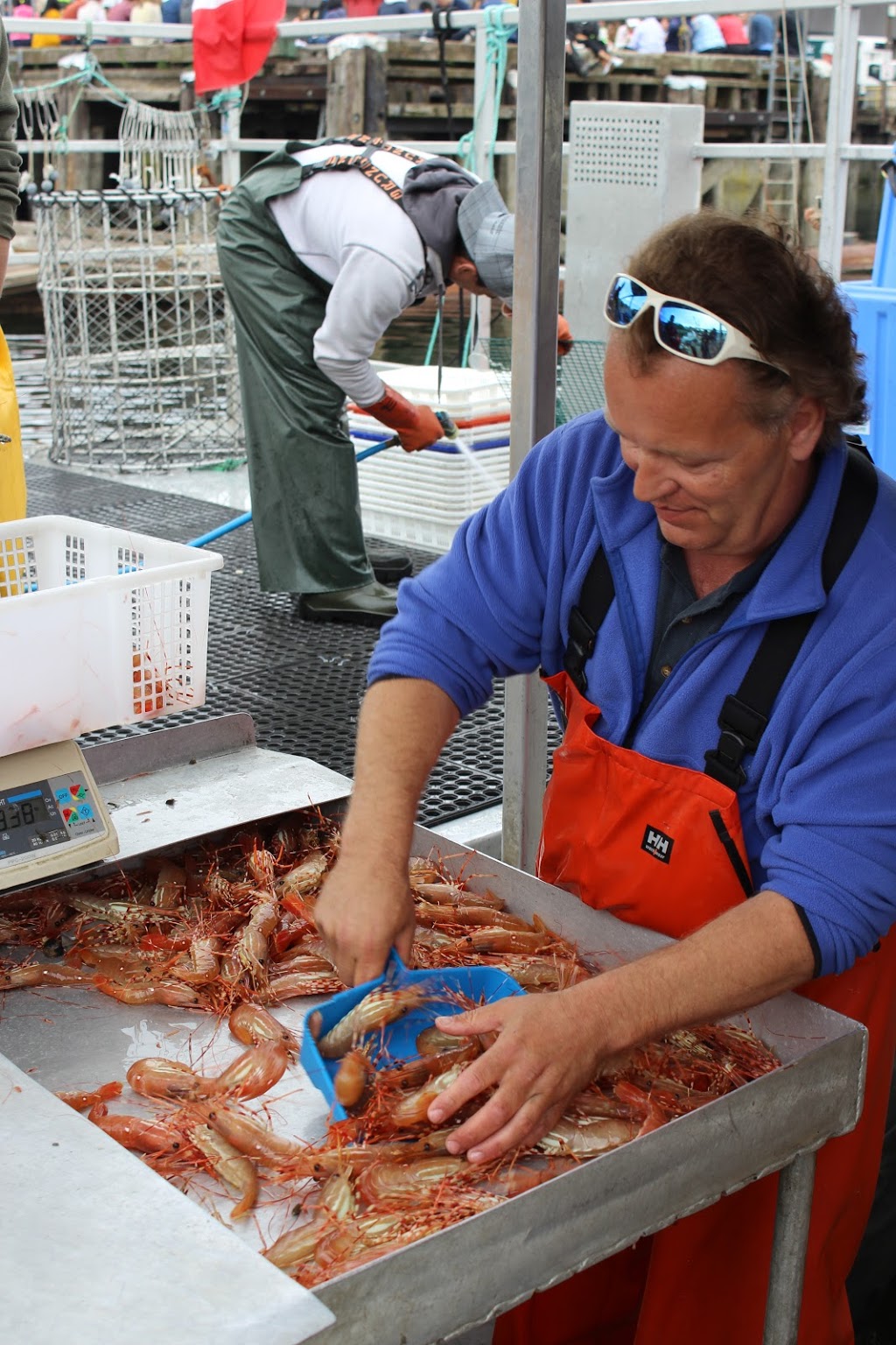 Pacific Prawn Fishermen’s Association | 2174 Sun Valley Dr, Nanaimo, BC V9T 6K6, Canada | Phone: (250) 802-3483