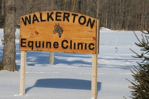 Walkerton Equine Veterinary Clinic | 13 Maple Hill Rd, Walkerton, ON N0G 2V0, Canada | Phone: (519) 881-2550