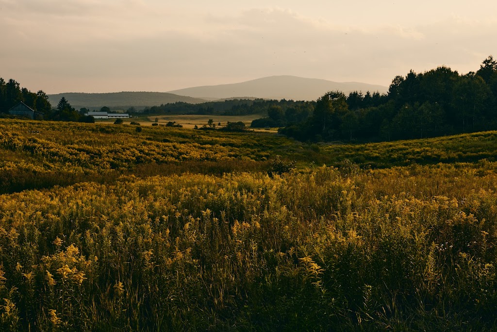 Miels dAnicet | 111 Rang 2 de Gravel, Ferme-Neuve, QC J0W 1C0, Canada | Phone: (819) 587-4825