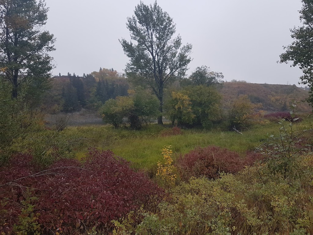 Bankside - Fish Creek Provincial Park | Southeast Calgary, Calgary, AB T2J 6R1, Canada