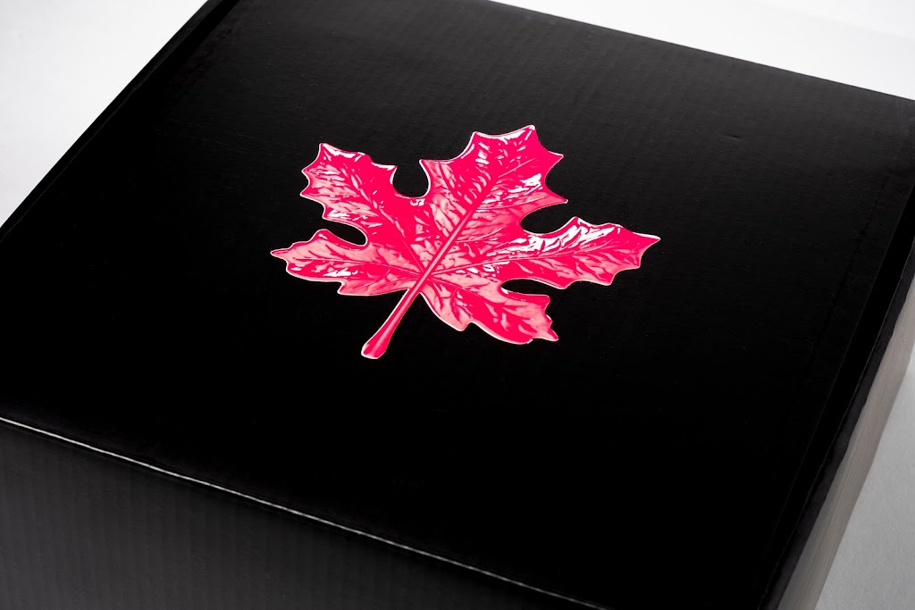 Canada in a Box | 25 Main St S, Waterdown, ON L0R 2H0, Canada | Phone: (289) 260-7414