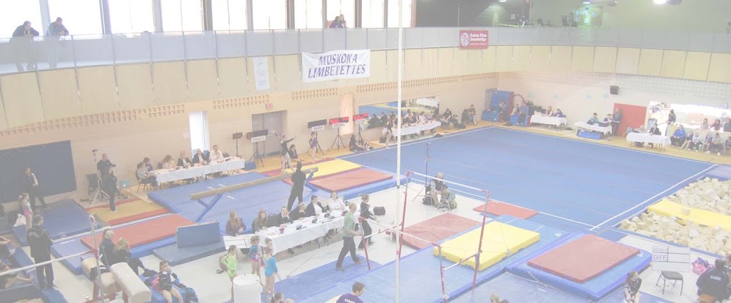 Muskoka Limberettes Gymnastics Club | 110 Clearbrook Trail, Bracebridge, ON P1L 1W9, Canada | Phone: (705) 640-0099