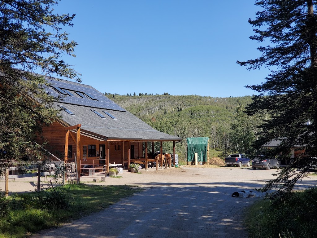 Moose Mountain Horseback Adventures | AB-762, Alberta T0L 1W0, Canada | Phone: (403) 949-3329