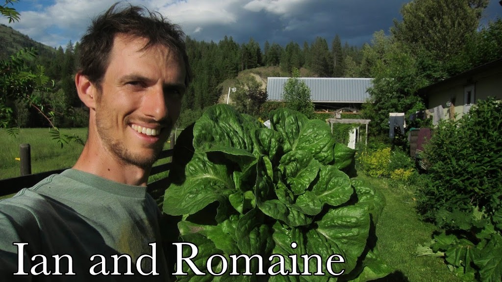 Roots Up! Vegetable Farm | 6133 VLA Rd, Chase, BC V0E 1M1, Canada | Phone: (778) 220-7578