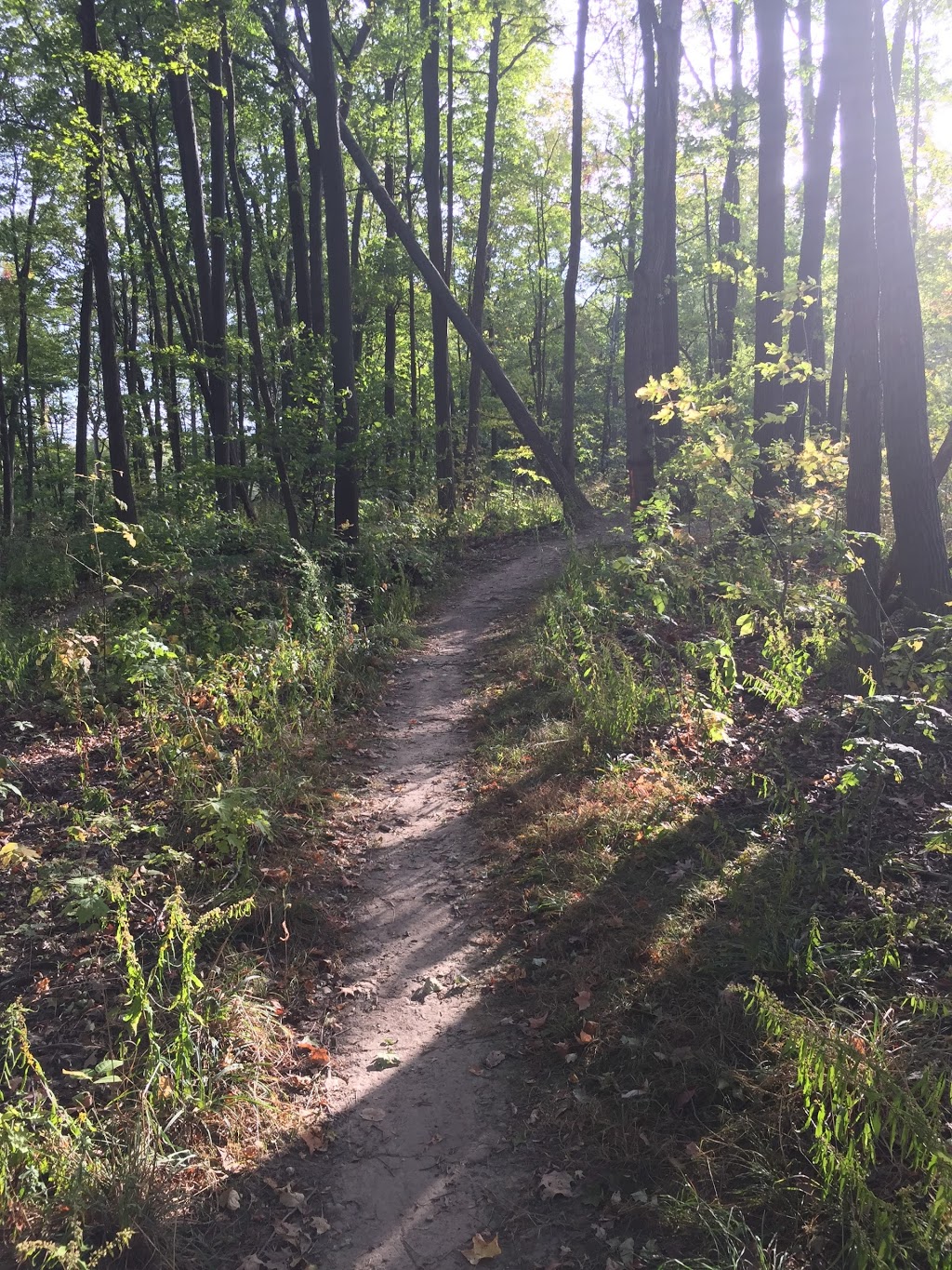 Bruce trail | 2C0, Bruce Trail, Vineland, ON L0R 2C0, Canada