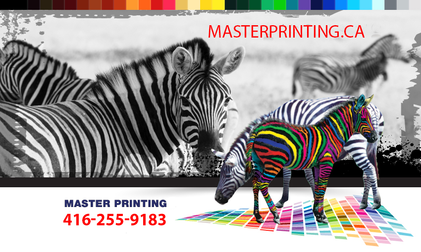 Master Printing | 80 Jutland Rd #300A, Etobicoke, ON M8Z 2H1, Canada | Phone: (416) 255-9183