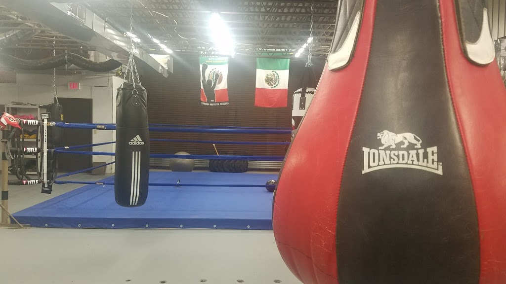 Fightnight Boxing Club (Gonzalez) | 2421 Hyde Park Blvd, Niagara Falls, NY 14305, USA | Phone: (716) 299-8797