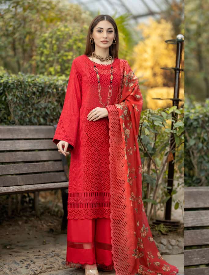 Ziami Pakistani Clothes/ By appointment only | 496 Downes Jackson Heights, Milton, ON L9T 8W2, Canada | Phone: (437) 972-2015