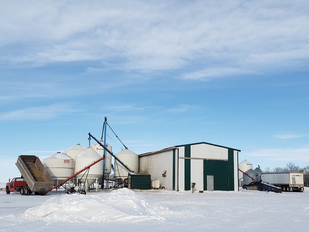 McCracken Grain Solutions Ltd. | Twp. Rd. 094 & Grid 623, Ogema, SK S0C 1Y0, Canada | Phone: (306) 459-7995