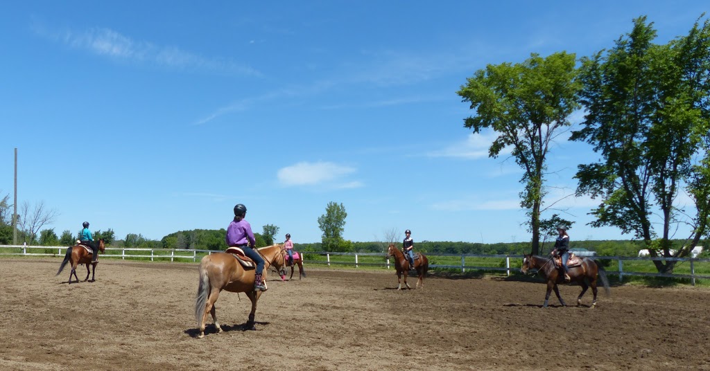 Equestrian Center Belle Rivière | 1463 Rang de la Belle-Rivière, Sainte-Julie, QC J3E 1Y2, Canada | Phone: (450) 922-2714