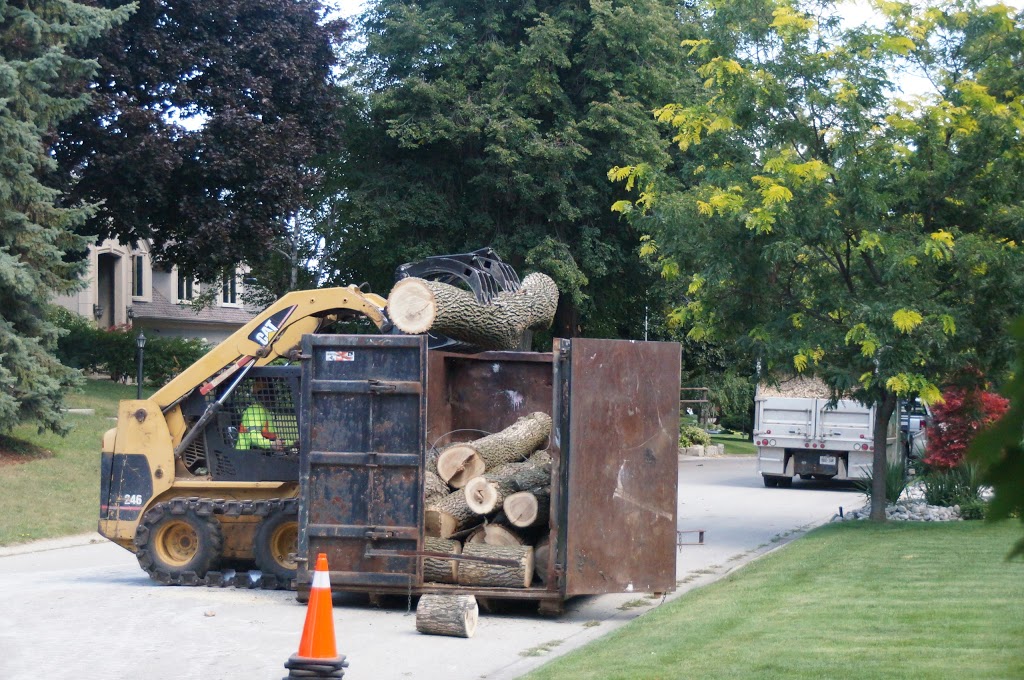 Maple Hill Tree Services | 1220 Heritage Rd, Burlington, ON L7L 4X9, Canada | Phone: (905) 824-2100