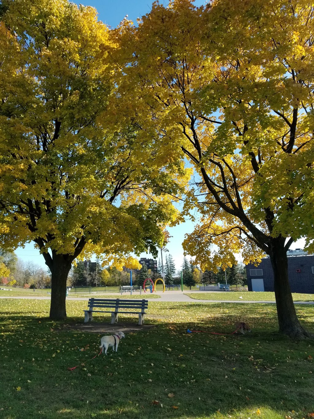 Waterdown Memorial Park | 200 Hamilton St N, Hamilton, ON L0R 2H0, Canada