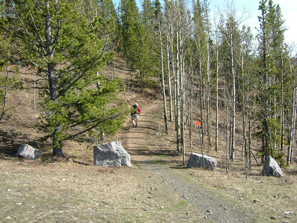 Sulphur Springs Trail | Sulphur Springs Trail, Bragg Creek, AB T0L 0K0, Canada