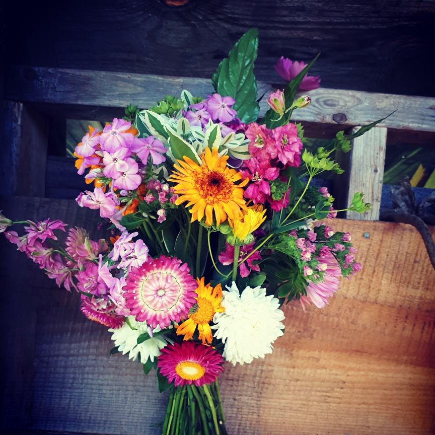 A Beautiful Wild Flower Farm | 7460 Aylesford Rd, Aylesford, NS B0P 1C0, Canada | Phone: (902) 670-8616