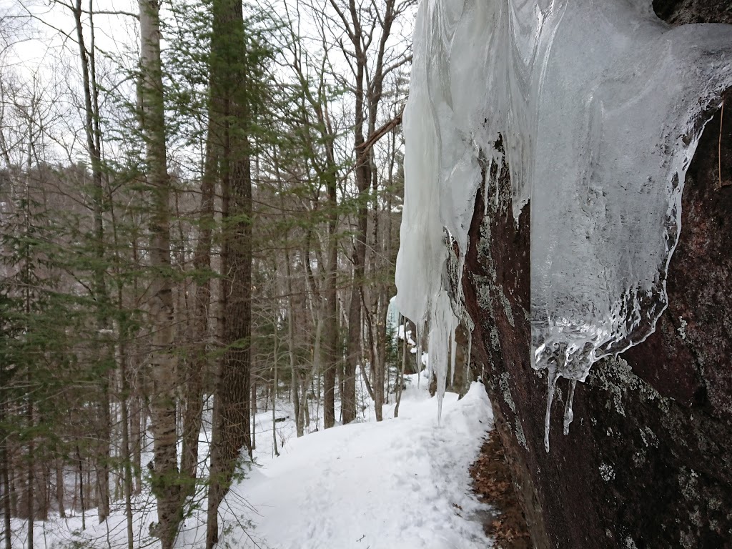 Haliburton Highlands Water Trails- Frost Centre Access Point | 20130 ON-35, Algonquin Highlands, ON K0M 1J2, Canada | Phone: (705) 766-9033