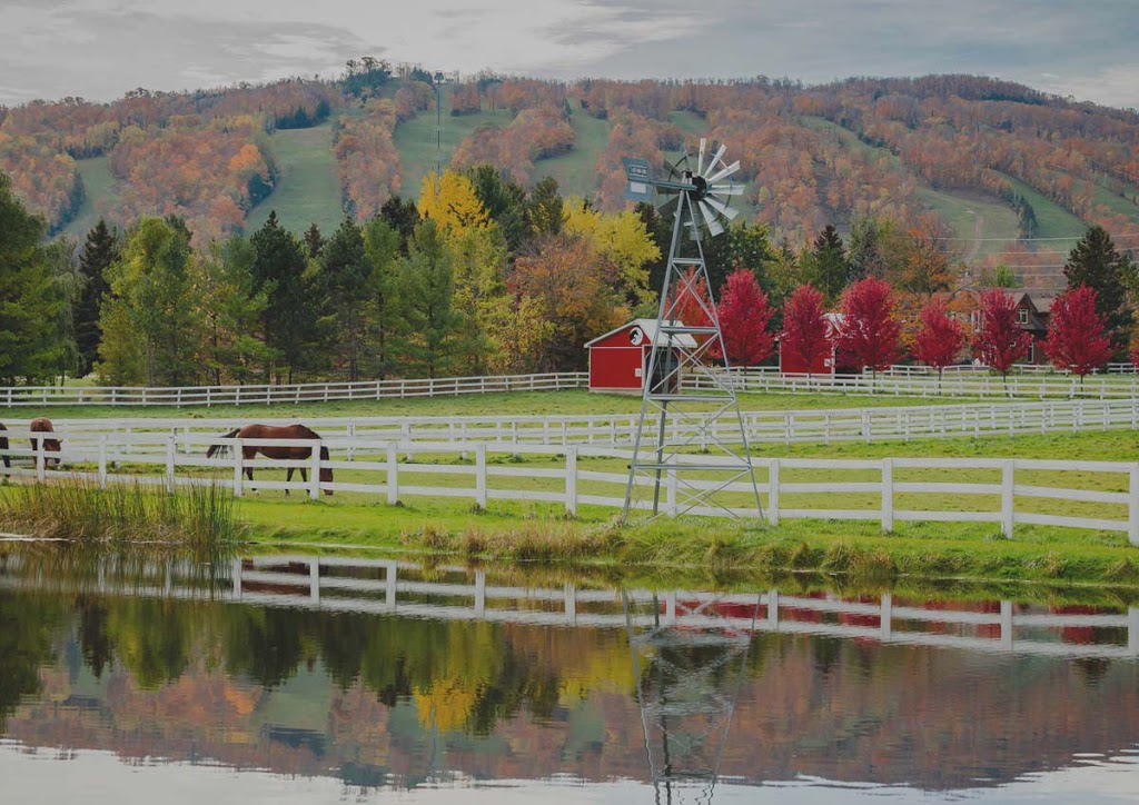 Alpine Equestrian Centre | 795601 Osler Bluff Rd, Collingwood, ON L9Y 3Y9, Canada | Phone: (705) 293-0144