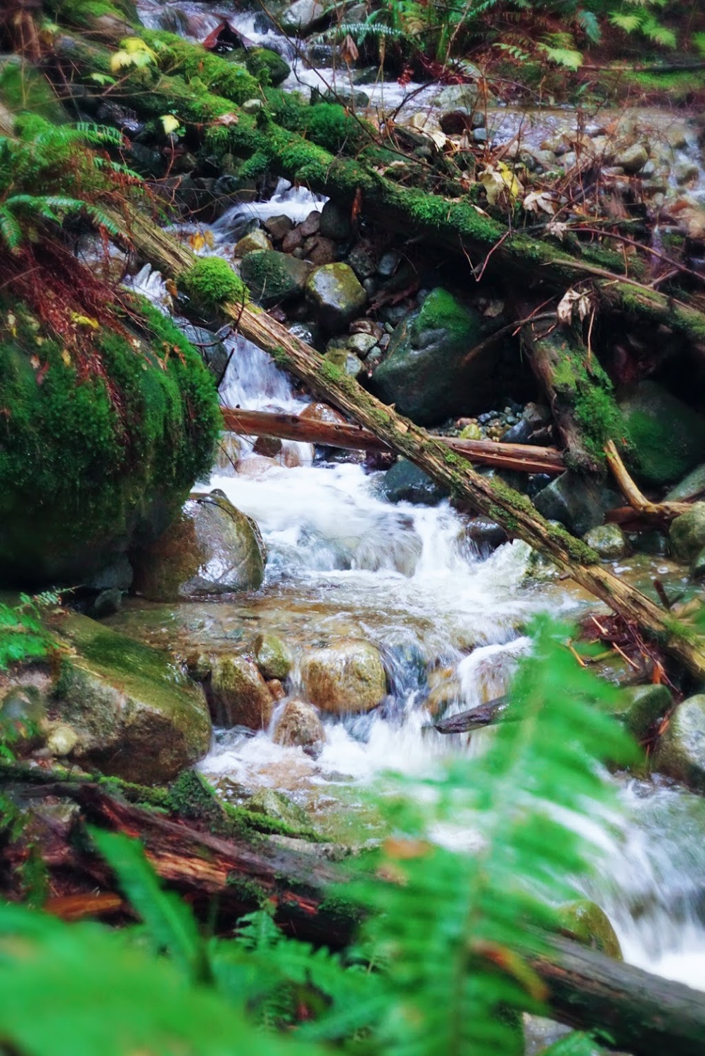 Woodland Falls | Coquitlam, BC V3E, Canada