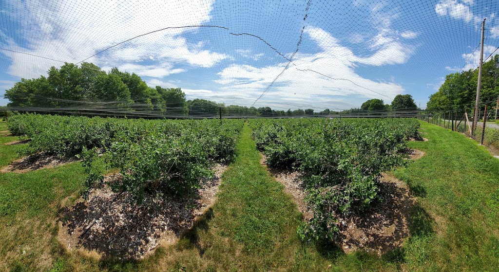 La Bleuetière et Erablière Giard | 15 Chemin Giard, Granby, QC J2H 0T1, Canada | Phone: (450) 372-6320