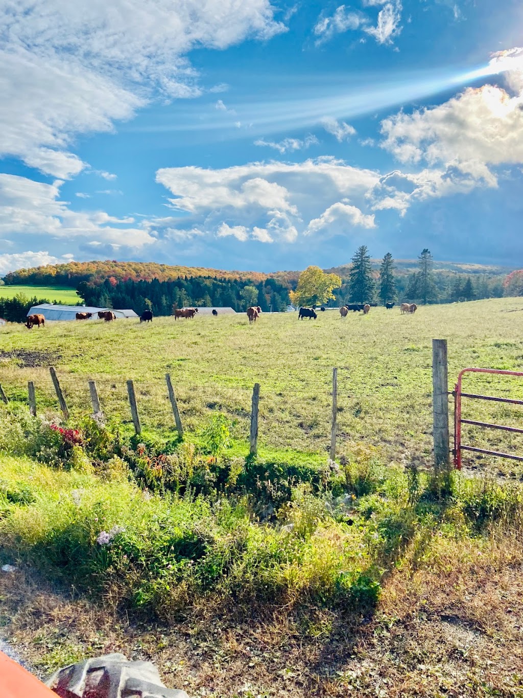 FERME ROGER FORTIER ET FILS | 827 Chem. Gosford, Saint-Pierre-Baptiste, QC G0P 1K0, Canada | Phone: (418) 332-0466