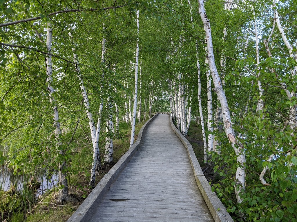 Sackville Waterfowl Park | 34 Mallard Dr, Sackville, NB E4L 1G6, Canada | Phone: (506) 364-4930