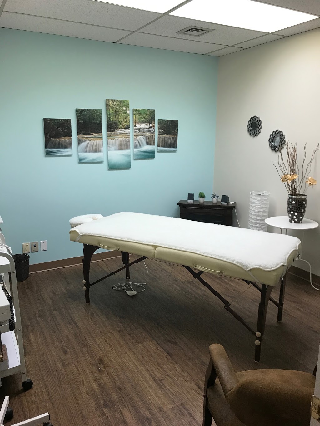 Electrolyse Et Spa Beauté De Laval Inc | 1717 Boulevard Saint-Martin O #350, Laval, QC H7S 1N2, Canada | Phone: (450) 682-6556