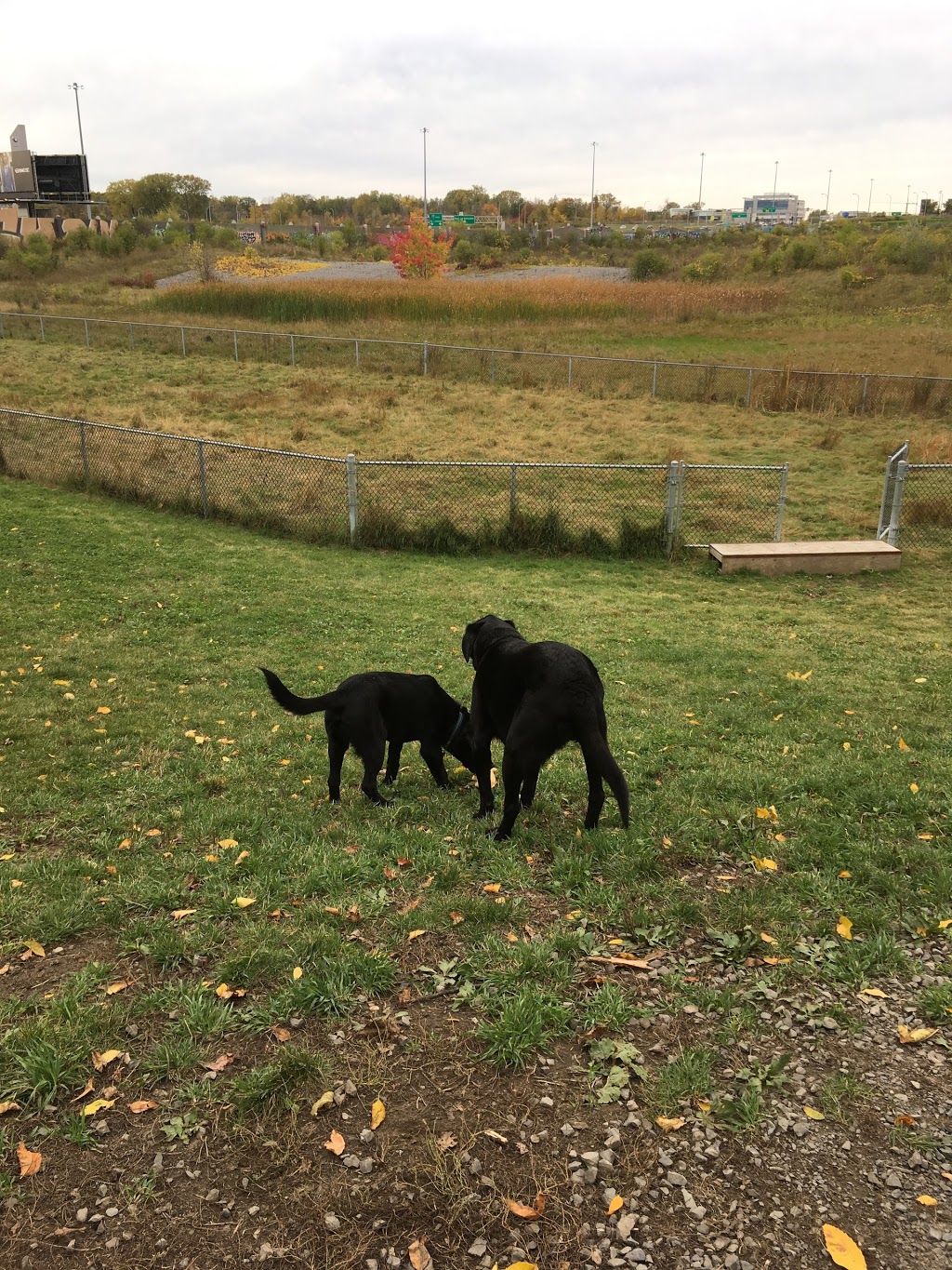 dog park Falco (Laval-des-Rapides) | 5V2, 6e Rue, Laval, QC H7N 5V2, Canada