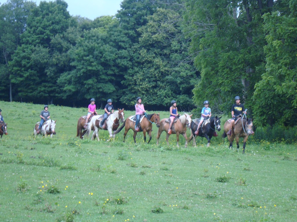 Horseshoe J Dude Ranch - Summer Camps, Lessons, Public trail rid | 32553 Erin Line, Fingal, ON N0L 1K0, Canada | Phone: (519) 762-5402