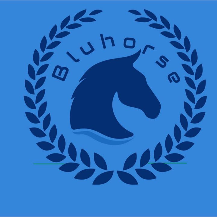 Bluhorse Consultancy | 51 Sled Dog Rd, Brampton, ON L6R 0H8, Canada | Phone: (905) 458-6992