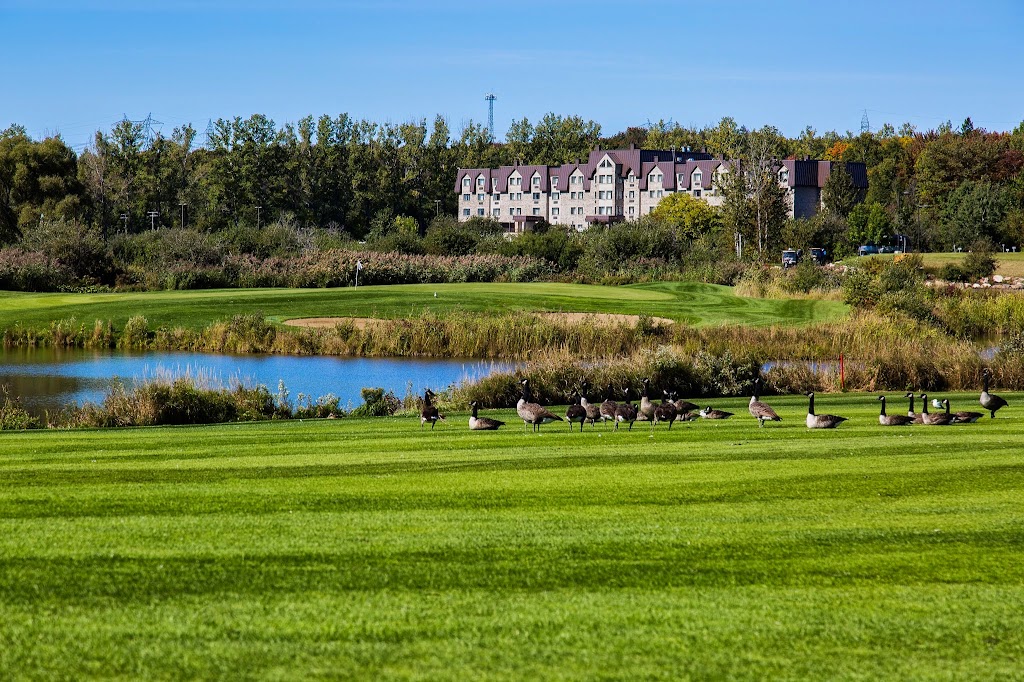 Golf de la Faune | 7950 Rue du Marigot, Québec, QC G1G 6T8, Canada | Phone: (418) 627-1576