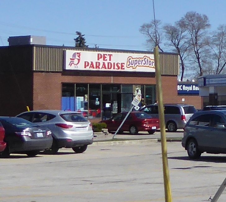 Pet Paradise | 1080 Adelaide St N, London, ON N5Y 2N1, Canada | Phone: (519) 432-1600