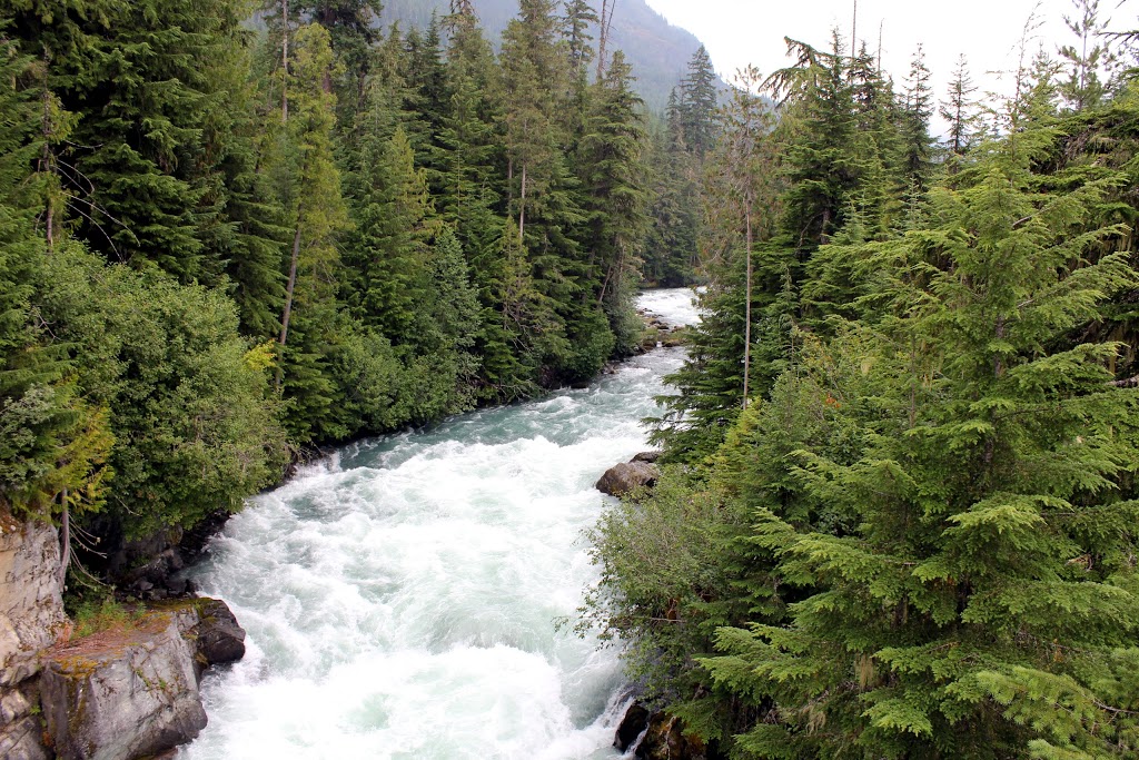 Whistler Interpretive Forest | 1011 BC-99, Whistler, BC V0N 0A0, Canada | Phone: (604) 935-8398