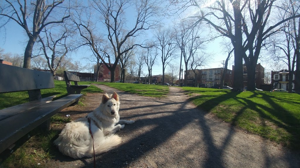 Parc Thibodeau | Mercier-Hochelaga-Maisonneuve, Montreal, QC H1N, Canada