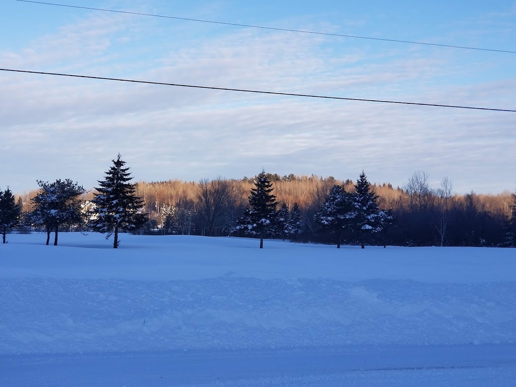 Chalet Du Mont-Trinite Ltee | 220 Chem. du Mont-Trinité, Saint-Michel-des-Saints, QC J0K 3B0, Canada | Phone: (450) 833-5598