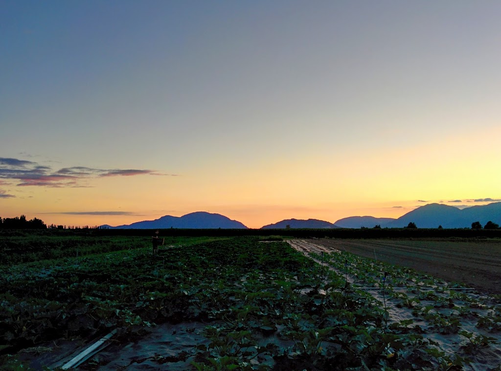 Forstbauer Family Natural Food Farm | 49350 Prairie Central Rd, Chilliwack, BC V2P 6H3, Canada | Phone: (604) 794-3999