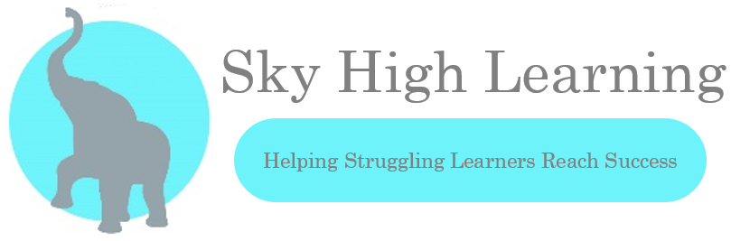 Sky High Learning | 20 Joycelyn Dr, Mississauga, ON L5M 1T7, Canada | Phone: (416) 418-0646