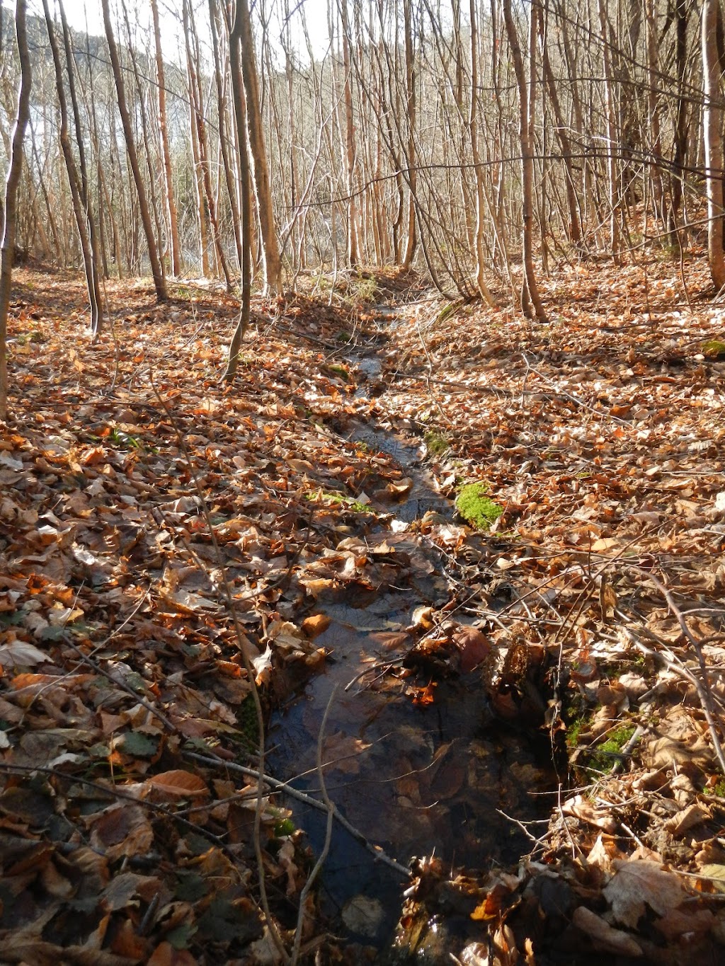 Installation septique - caractérisation environnementale | 9 Av. Lanning suite 103, Saint-Sauveur, QC J0R 1R6, Canada | Phone: (450) 644-0425