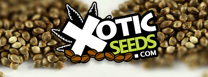 Xotic Seeds | 40 Regan Road #12 #B, Brampton, ON L7A 1B3, Canada | Phone: (905) 840-4408