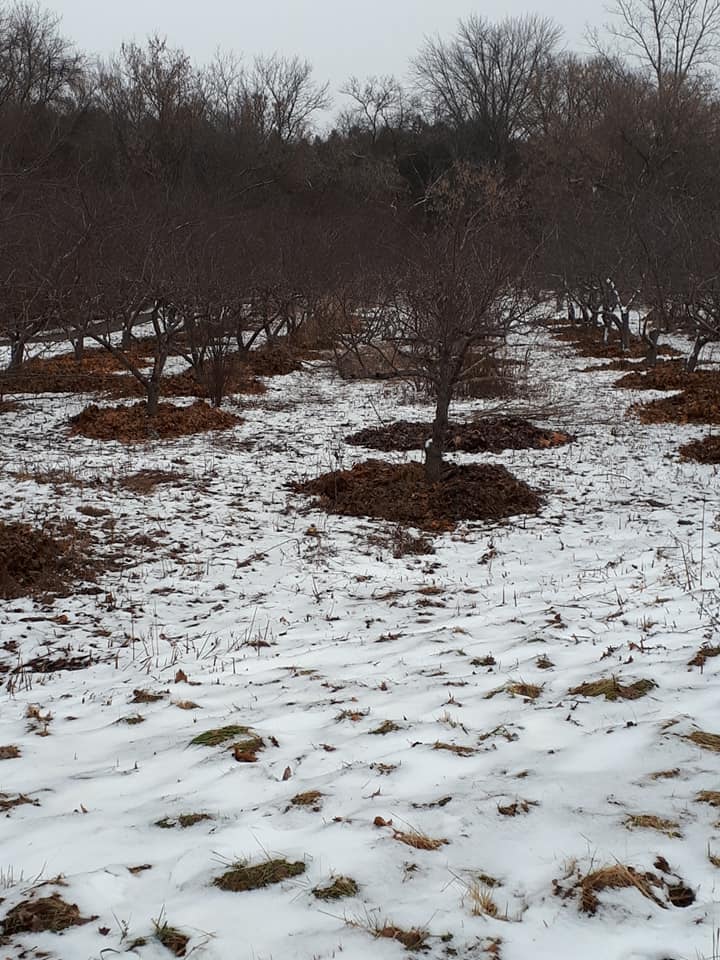 Highbury Wetland and Orchard | Killarney Rd &, Tralee Pl, London, ON N5X 0B8, Canada