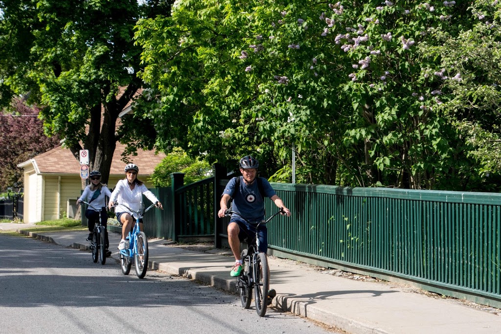 Kingston Bike Tours | 5 Brock St, Kingston, ON K7L 1R8, Canada | Phone: (613) 817-4868