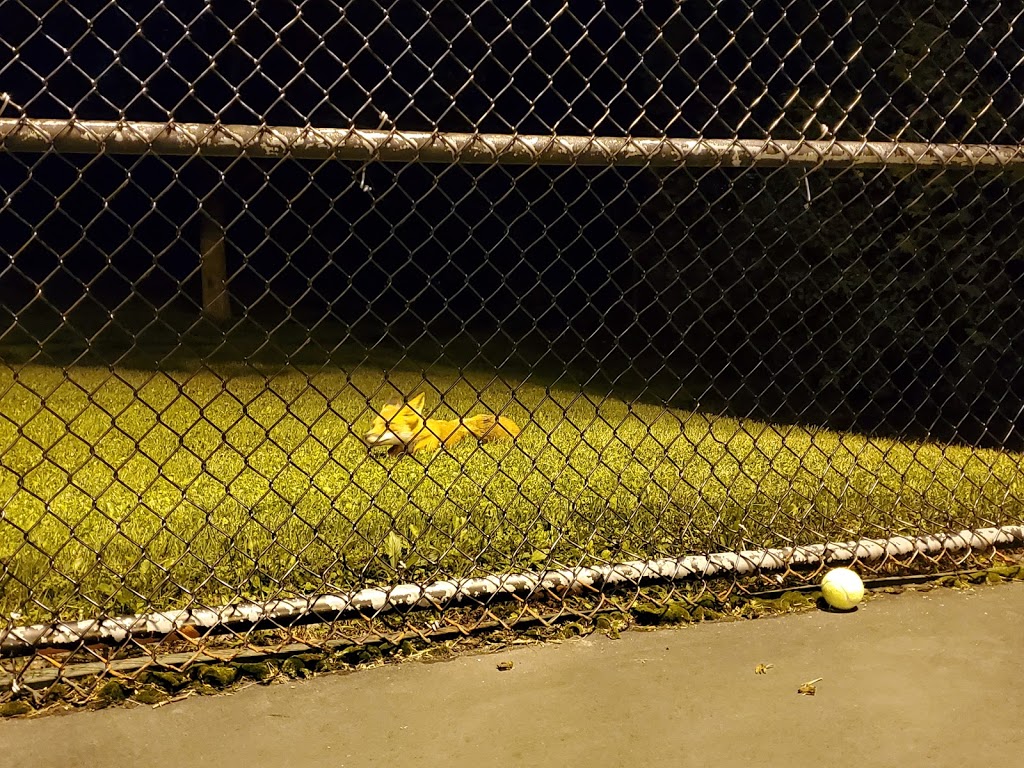 Summit Park Public Tennis Courts | Summit Park, Aurora, ON L4G 4Y6, Canada | Phone: (905) 727-3123