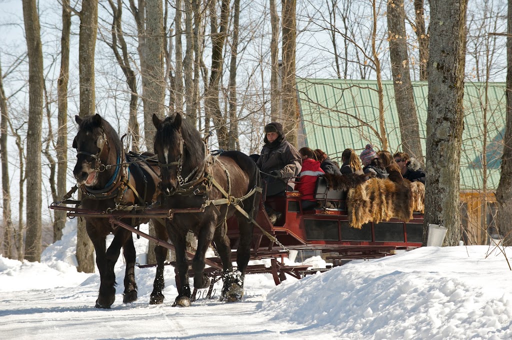 Écurie Le Baluchon | 3550 Chem. des Trembles, Saint-Paulin, QC J0K 3G0, Canada | Phone: (819) 268-2555