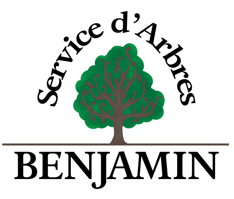 Service dArbres Benjamin inc. | 2015 Rue de Plaisance #5, Terrebonne, QC J6X 4M9, Canada | Phone: (450) 903-2365